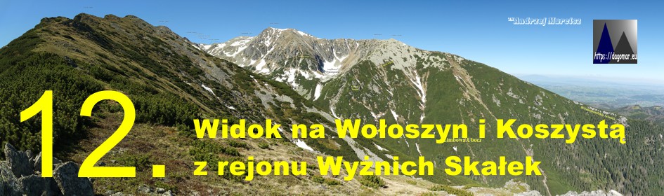 Koszysta i Wołoszyn